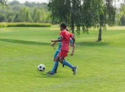 利物浦签约,岁门将米希,丘尔,彩娱乐,彩票平台,在线购彩,彩票投注,彩票服务